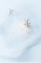 Load image into Gallery viewer, pendientes de plata de ley 925 con forma de estrella de mar