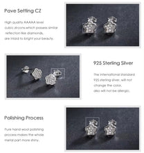 Cargar imagen en el visor de la galería, pendientes de tuerca de circonia cúbica para mujer y niña