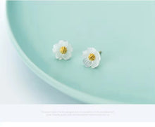 Load image into Gallery viewer, pendientes de plata de ley 100% 925 para mujer