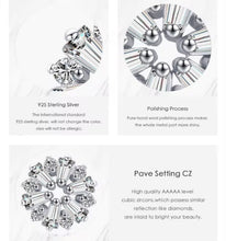Load image into Gallery viewer, pendientes de plata esterlina 925 para mujer