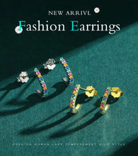 Load image into Gallery viewer, pendientes de plata de ley 925 para mujer