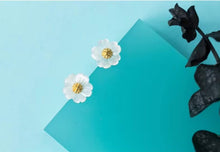 Load image into Gallery viewer, pendientes de plata de ley 100% 925 para mujer