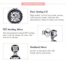 Load image into Gallery viewer, pendientes de plata de ley 2021 con Circonia cúbica para mujer, aretes colgantes