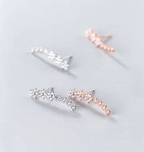 Load image into Gallery viewer, pendientes de plata de ley 100% 925 para mujer y niña