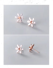 Load image into Gallery viewer, pendientes de esmalte plateado para mujer