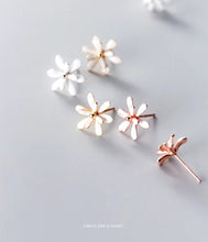 Load image into Gallery viewer, pendientes de esmalte plateado para mujer