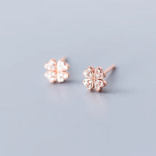 Load image into Gallery viewer, pendientes de plata de ley 925 para mujer