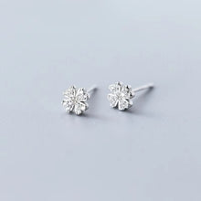 Load image into Gallery viewer, pendientes de plata de ley 925 para mujer
