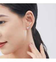 Load image into Gallery viewer, pendientes de plata de ley 925 con forma de alas de Ángel para mujer
