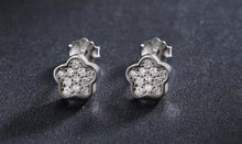 Cargar imagen en el visor de la galería, pendientes de tuerca de circonia cúbica para mujer y niña