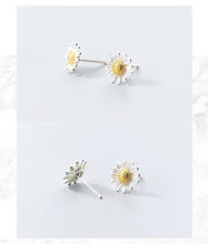 Load image into Gallery viewer, pendientes de plata de ley 925 para mujer