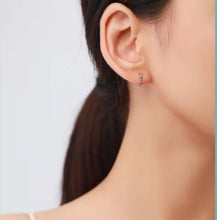 Load image into Gallery viewer, pendientes de plata de ley 925 para mujer