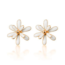 Load image into Gallery viewer, pendientes de esmalte plateado para mujer