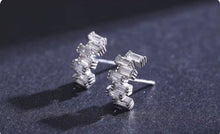 Load image into Gallery viewer, pendientes de plata de ley 925 para mujer