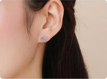 Load image into Gallery viewer, pendientes de plata de ley 925 para mujer